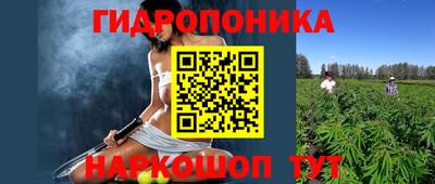 МДПВ Татарск
