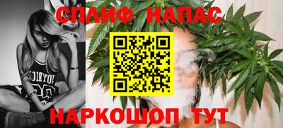 МДПВ Татарск