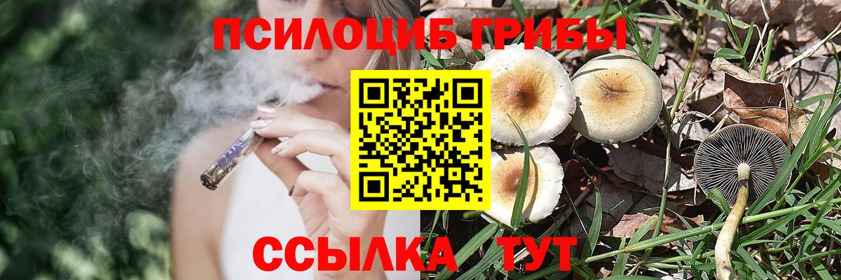 LSD-25 Брянск